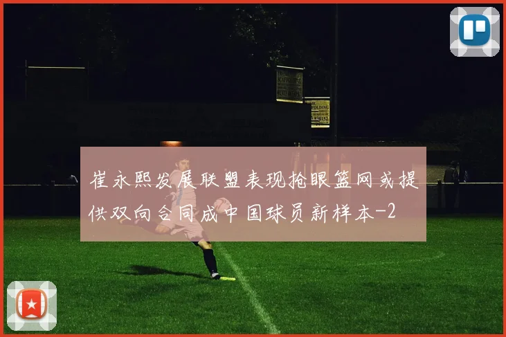 崔永熙发展联盟表现抢眼篮网或提供双向合同成中国球员新样本