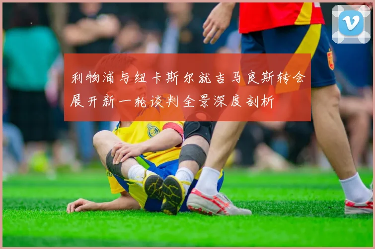 利物浦与纽卡斯尔就吉马良斯转会展开新一轮谈判全景深度剖析