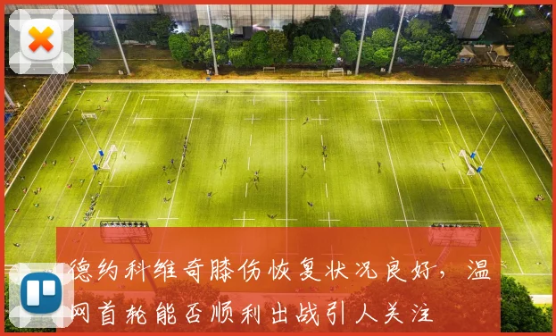 德约科维奇膝伤恢复状况良好，温网首轮能否顺利出战引人关注